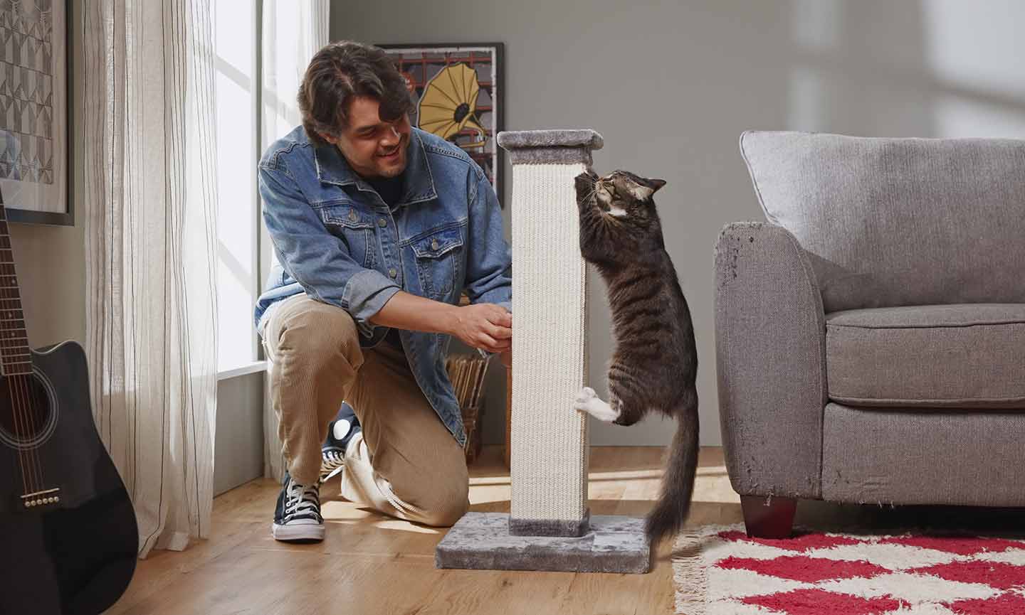 Protect couch outlet from cat scratching