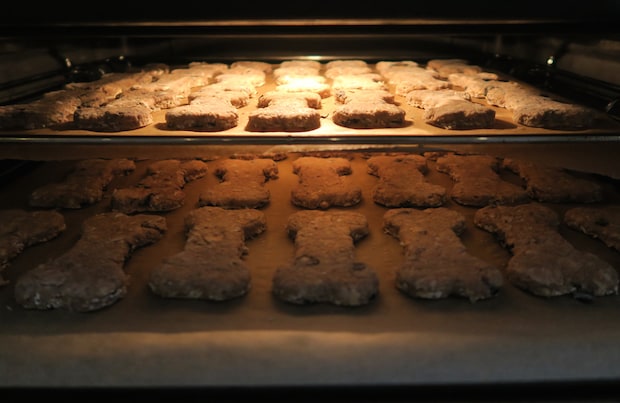 Homemade Breakfast Bones for Dogs