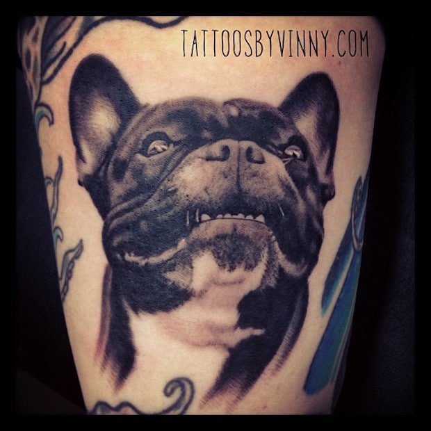 american history x tattoos dog