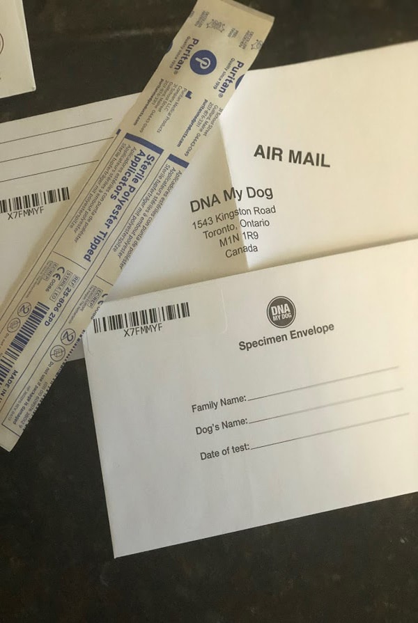 ДНК-тест для собак DNA My Dog Kit