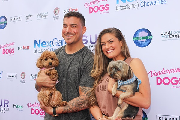 Jax and Brittany at World Dog Day