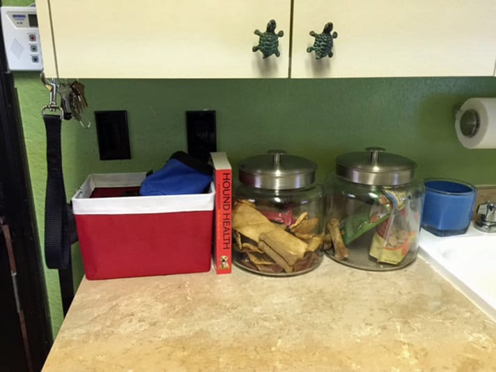 Clear dog storage containers on a kitchen counter.
