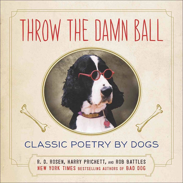 dog books throw the dahm ball