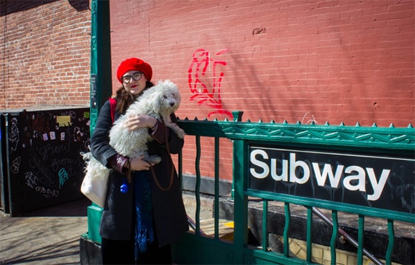 Subway Dogs