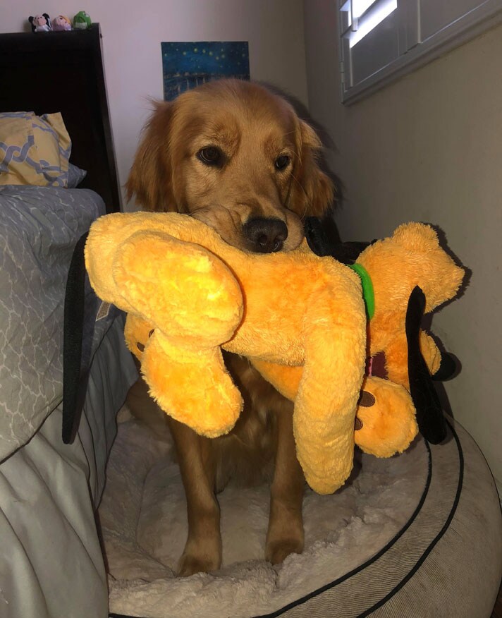 Atlas with Pluto toy