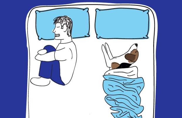 Dog in bed - the Burrito