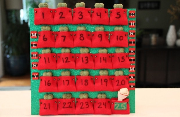 DIY Dog Advent Calendar | BeChewy