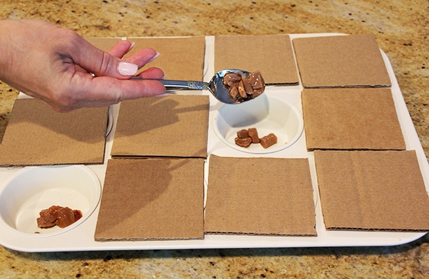How To Make A Cat Food Puzzle