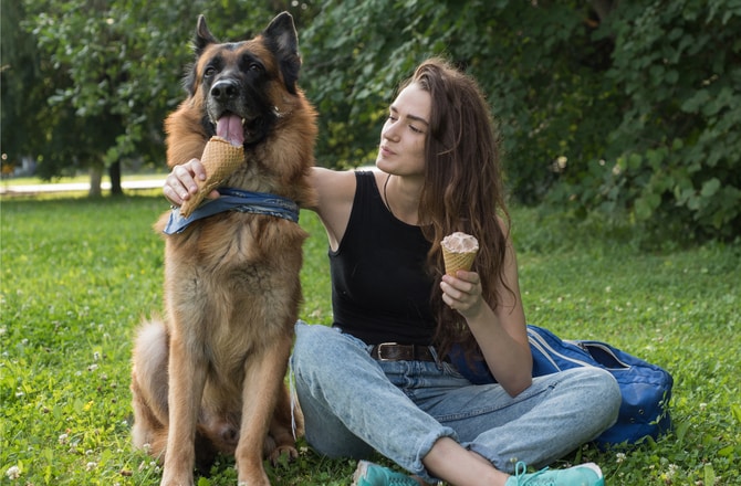 Собака ест мороженое в парке