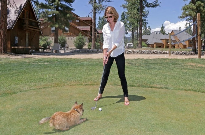 are dogs allowed on golf courses