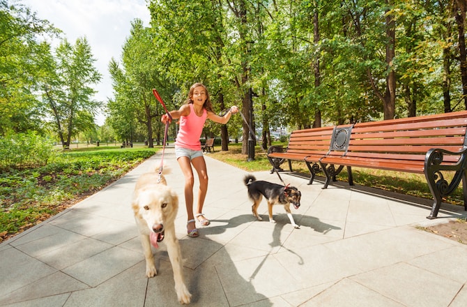 Girl running in park with two dogs