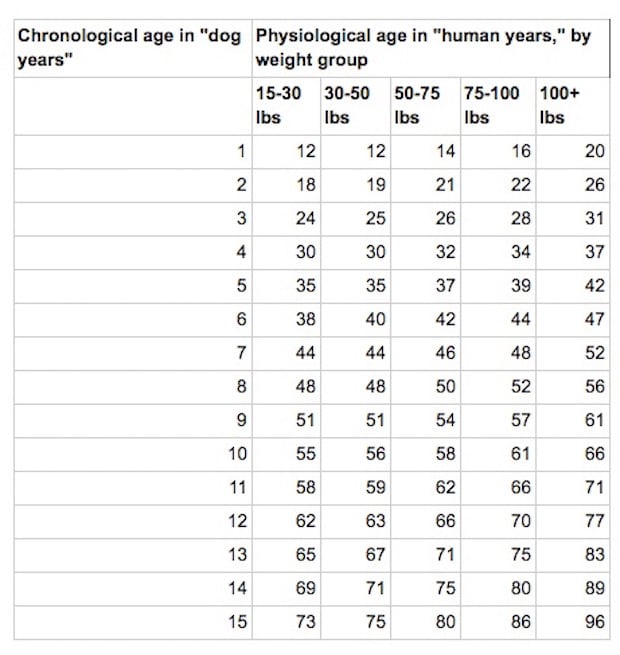 What is 8 human 2024 years in dog years