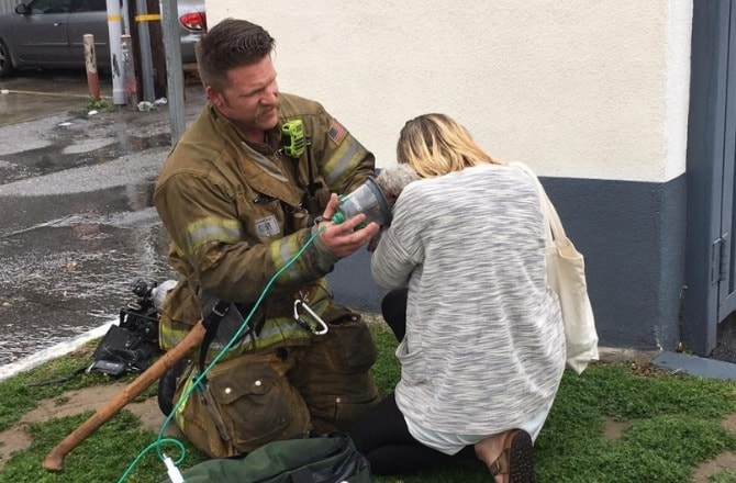 Firefighter saves dog's life