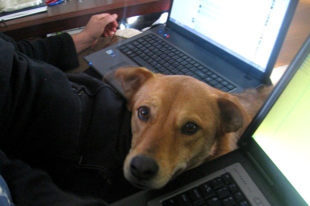 You stare at the electronic devices