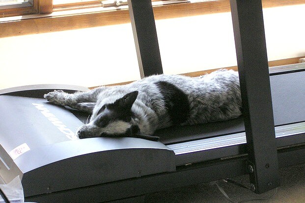 You use a treadmill