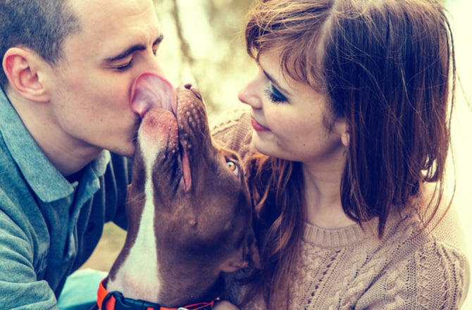 what does it mean when dogs kiss you