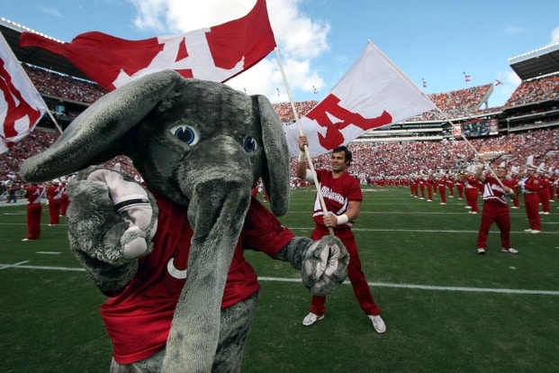 Elephant, University of Alabama