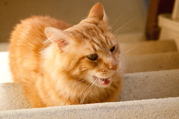 Take Proper Steps When It Comes to Staircases