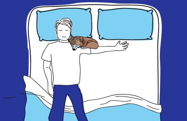 Dog in bed - Parrot style