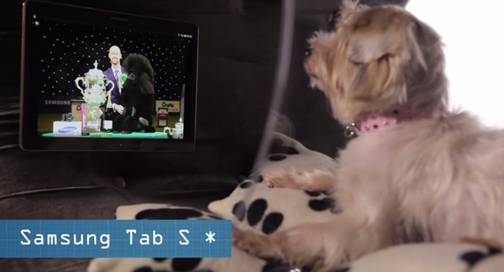 "My favorite show is on!" Via YouTube