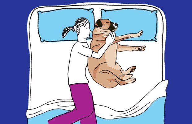 Dog in bed - the spoon