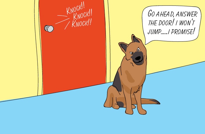 Собака ждет у двери доставку