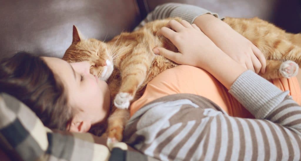 Why Do Some Cats Like to Sit on Shoulders?