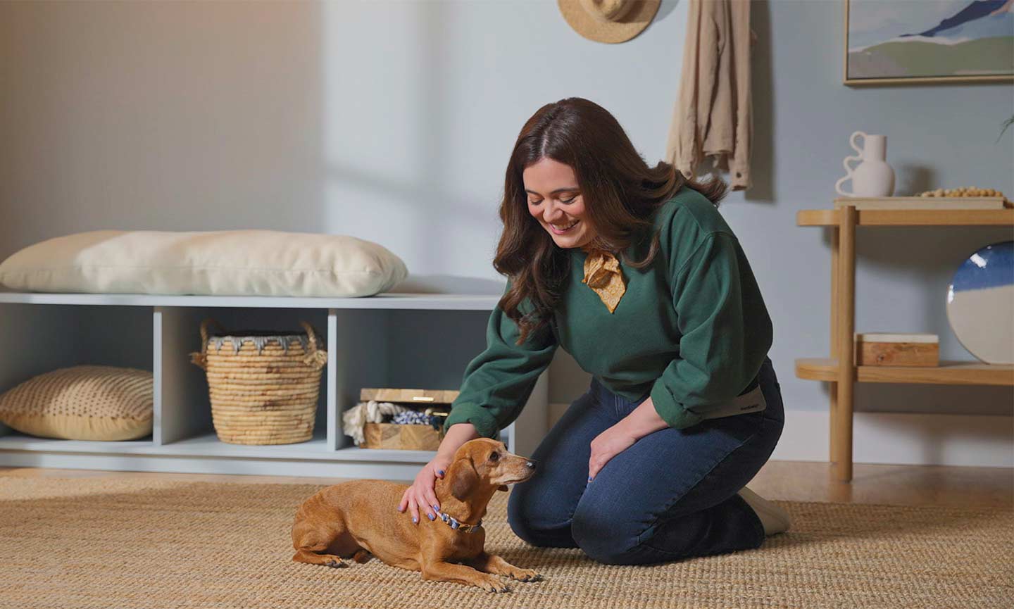 How to Teach a Dog to Lie Down BeChewy