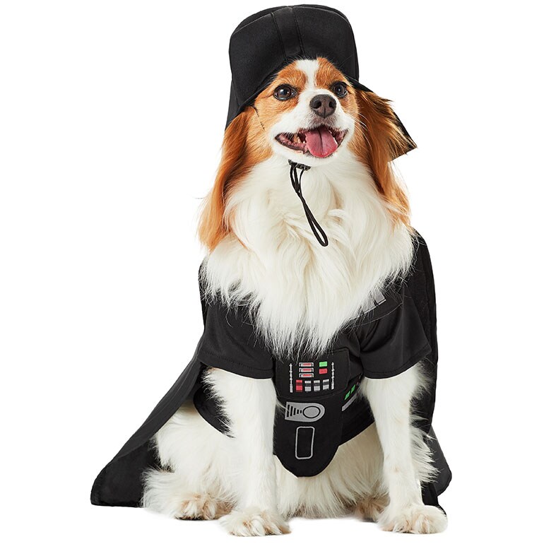 human and dog matching costumes - darth vader