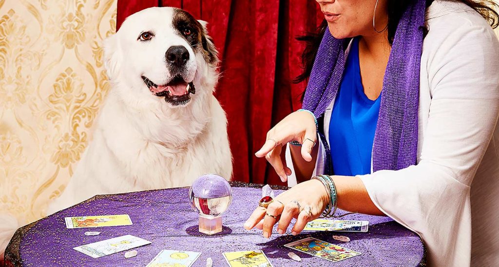 I Went to a Dog Psychic and Here’s What Happened