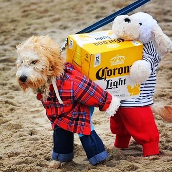 best dog costumes