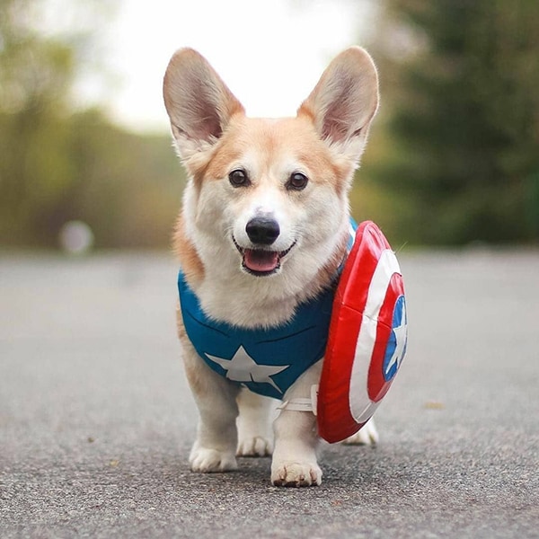 27 Barkin' Awesome Pet Costumes That'll Level Up Your Pet's Halloween Game