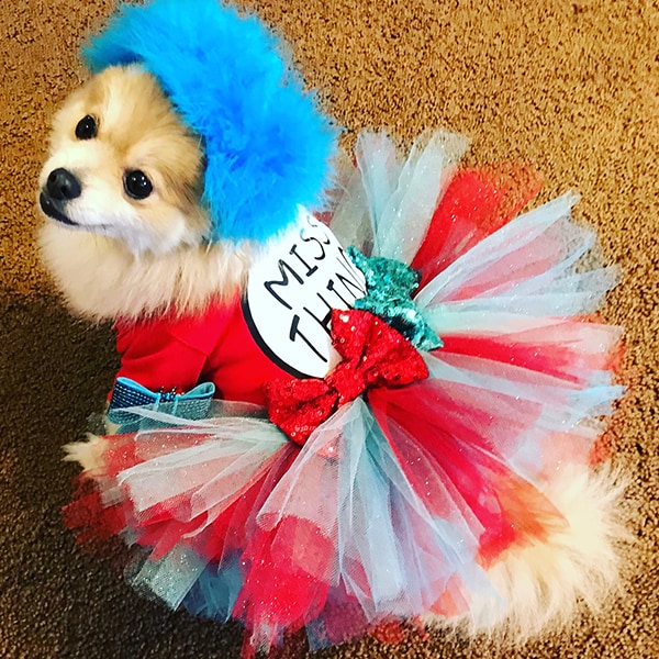 DIY Dog Costumes  Ideas For Homemade Halloween Dog Costumes