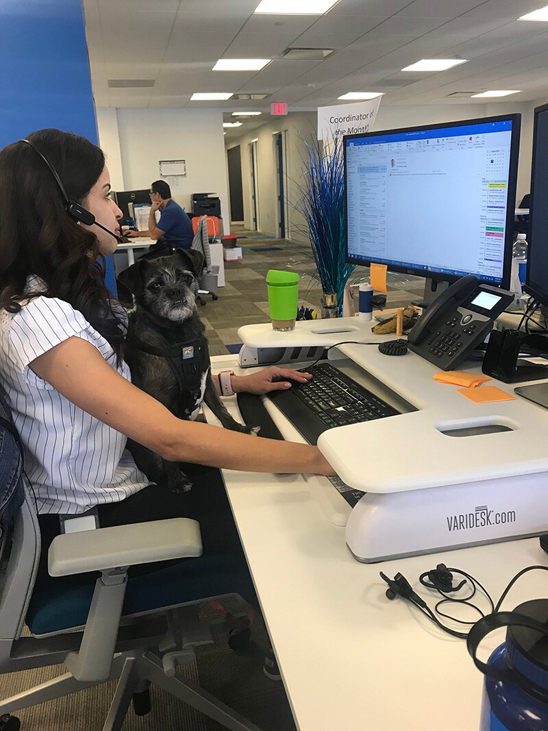 Marley adopted pet