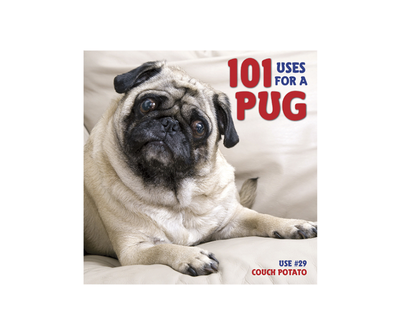 Pug gifts hotsell for girls