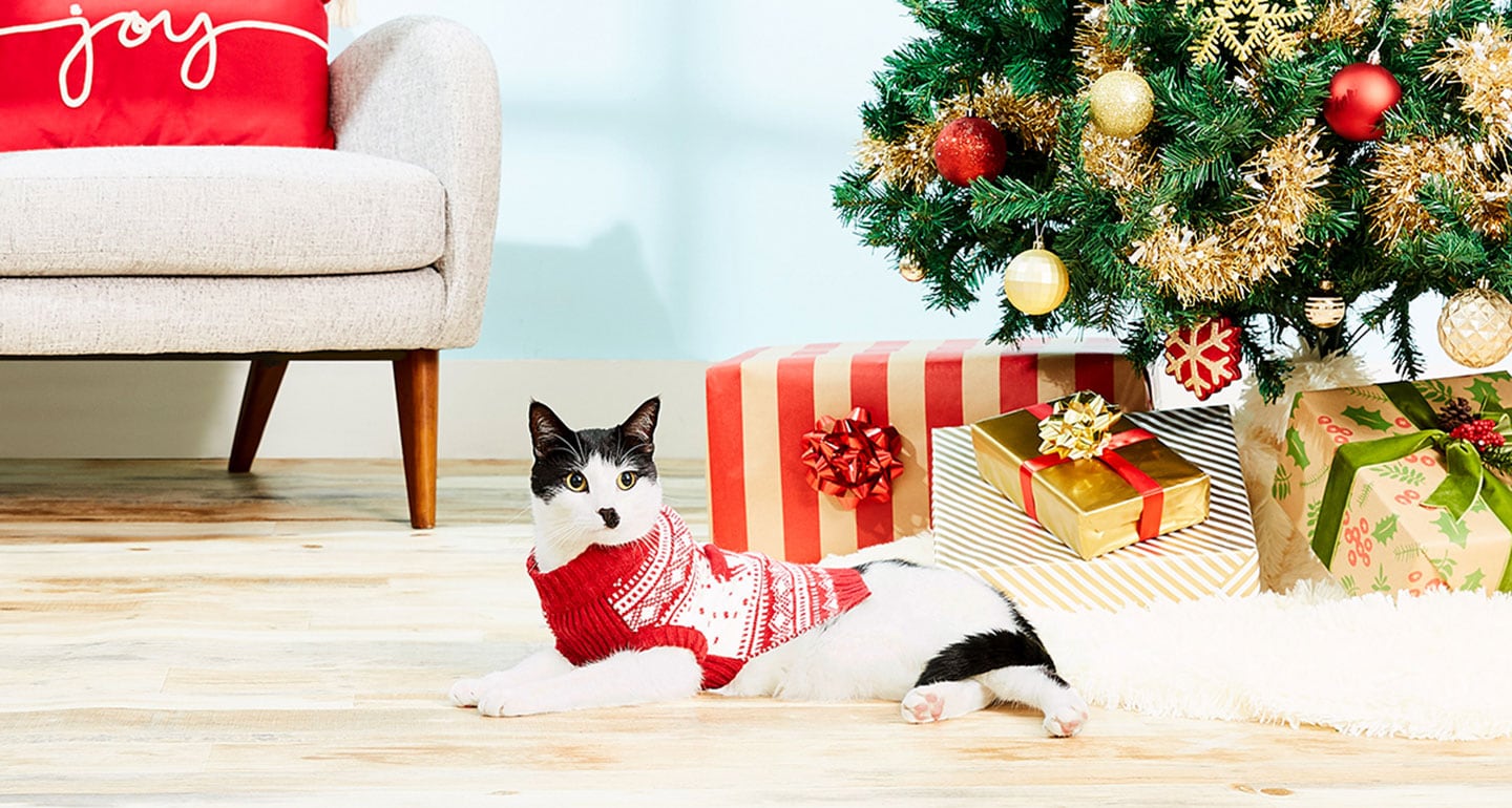 Cat Christmas sweater