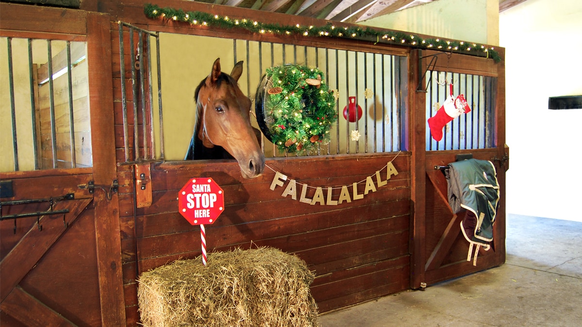 holiday decorations for your horse stall