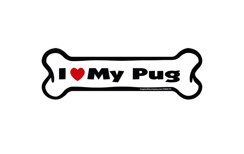 7 Pug Gifts for Dog Lovers | BeChewy
