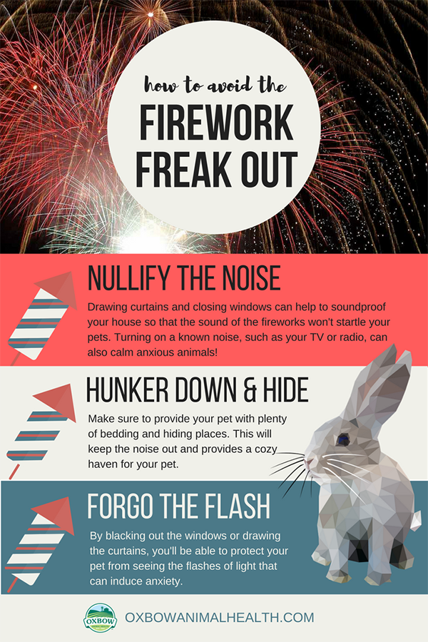 Infographic showing how to keep small pets calm during fireworks
