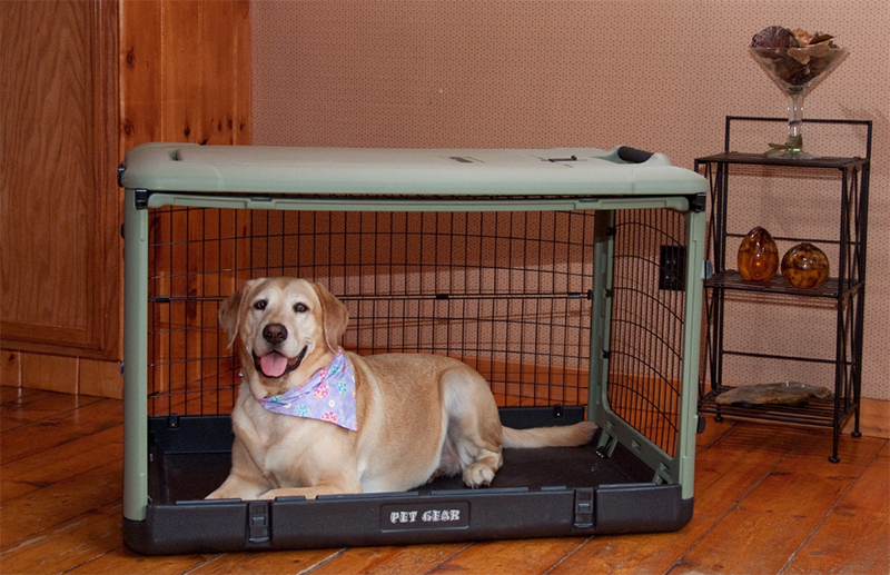 escape proof dog crate pet gear