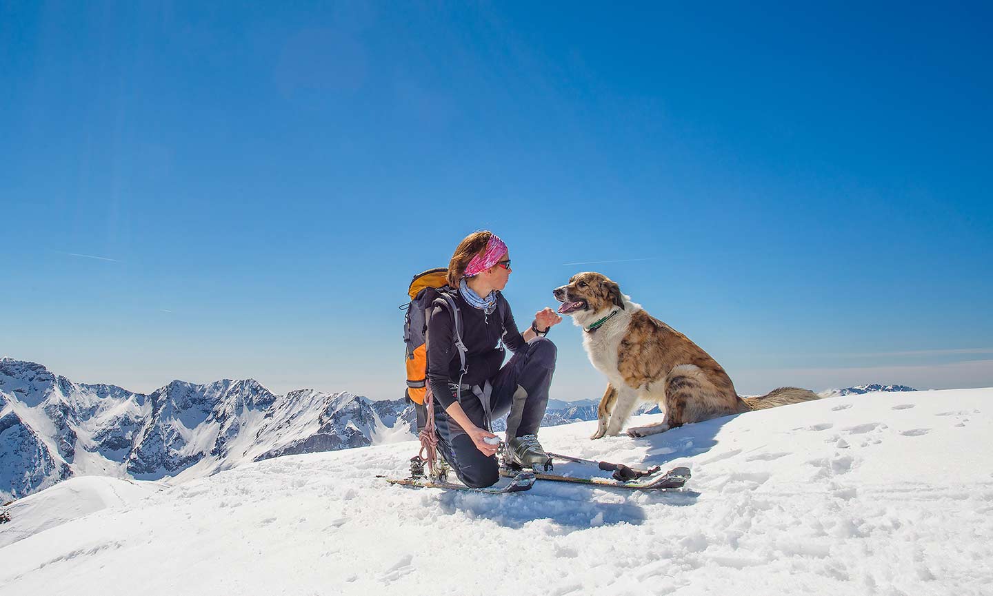 Top 3 Dog Exercise Equipment for the Summer; and Winter 