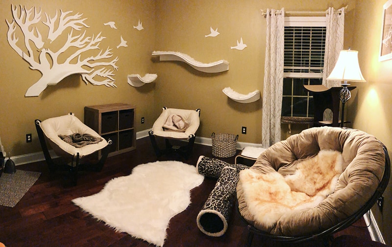 Creative Cat Room Ideas: Designing the Perfect Space for Your Feline Friend