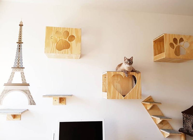 Designer cat rooms.
