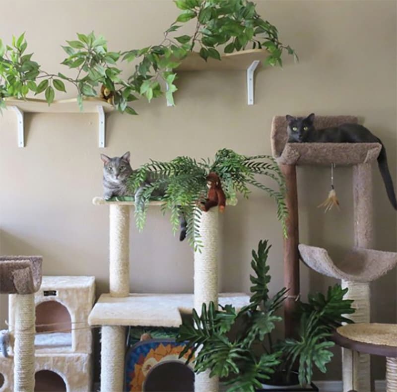 Jungle-inspired cat room