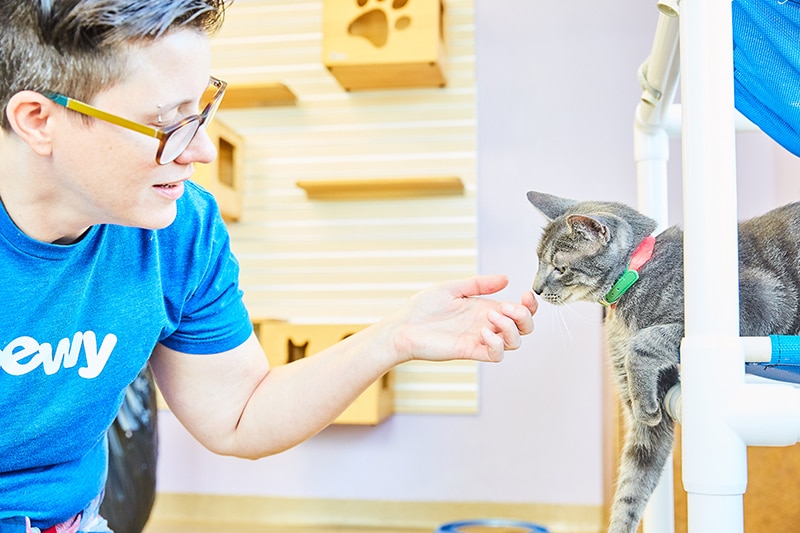 Nikki Naser spending quality time with a shelter cat. Courtesy of Chewy Studios.