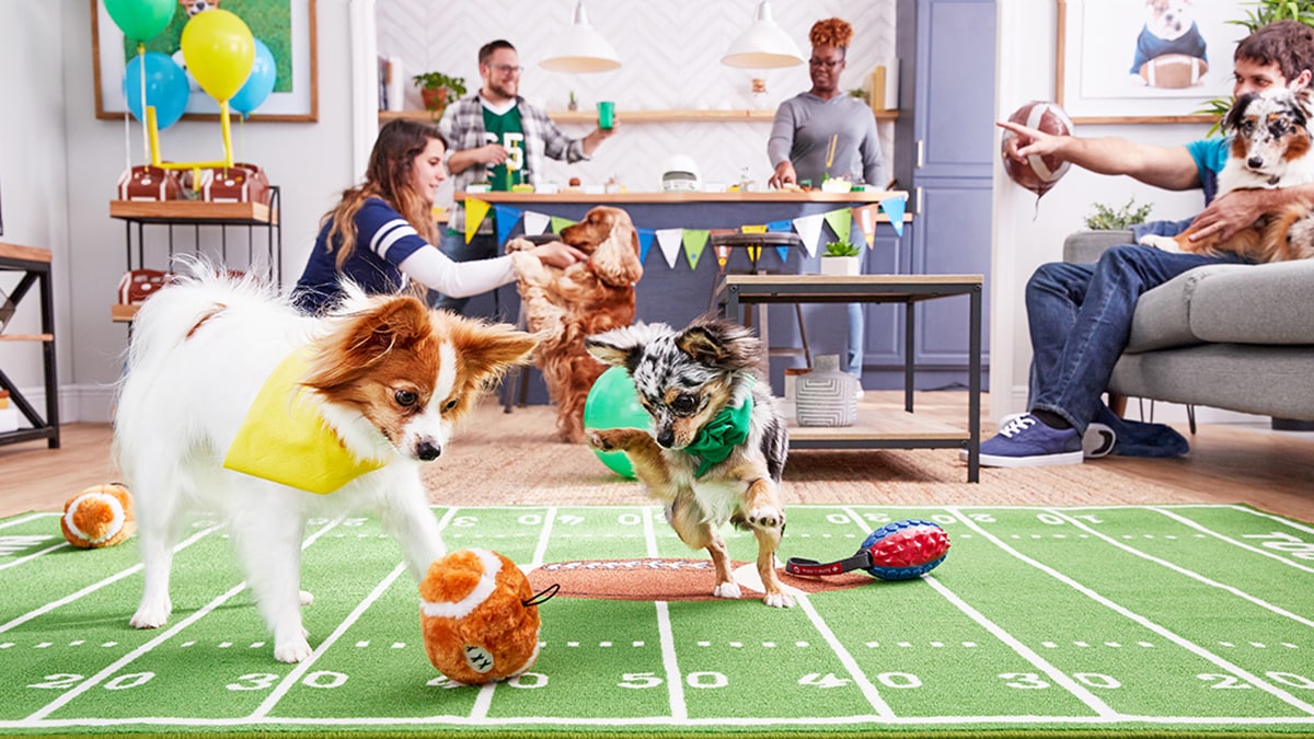 Puppy Bowl Party