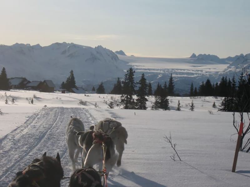 Гонки собак на Iditarod с Либби Риддлс