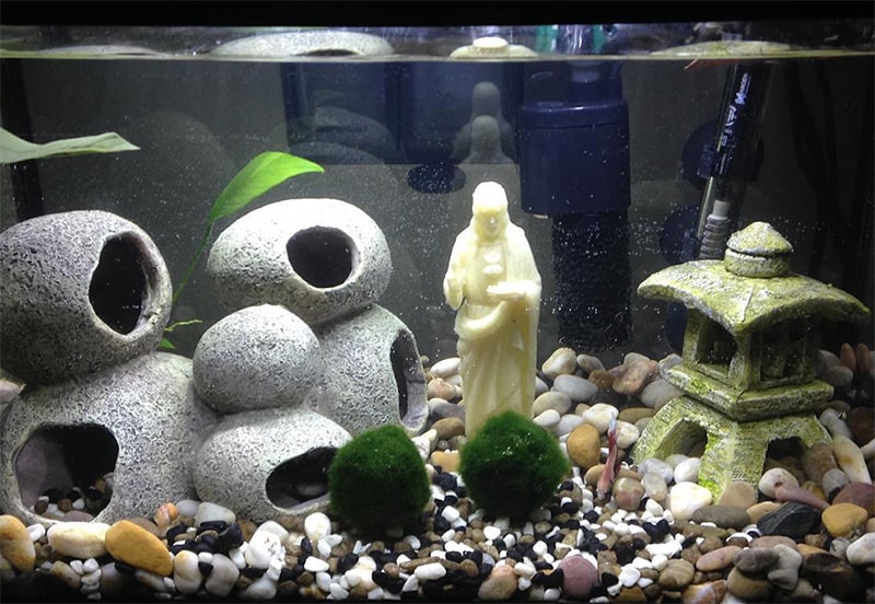 Fish tank decorations