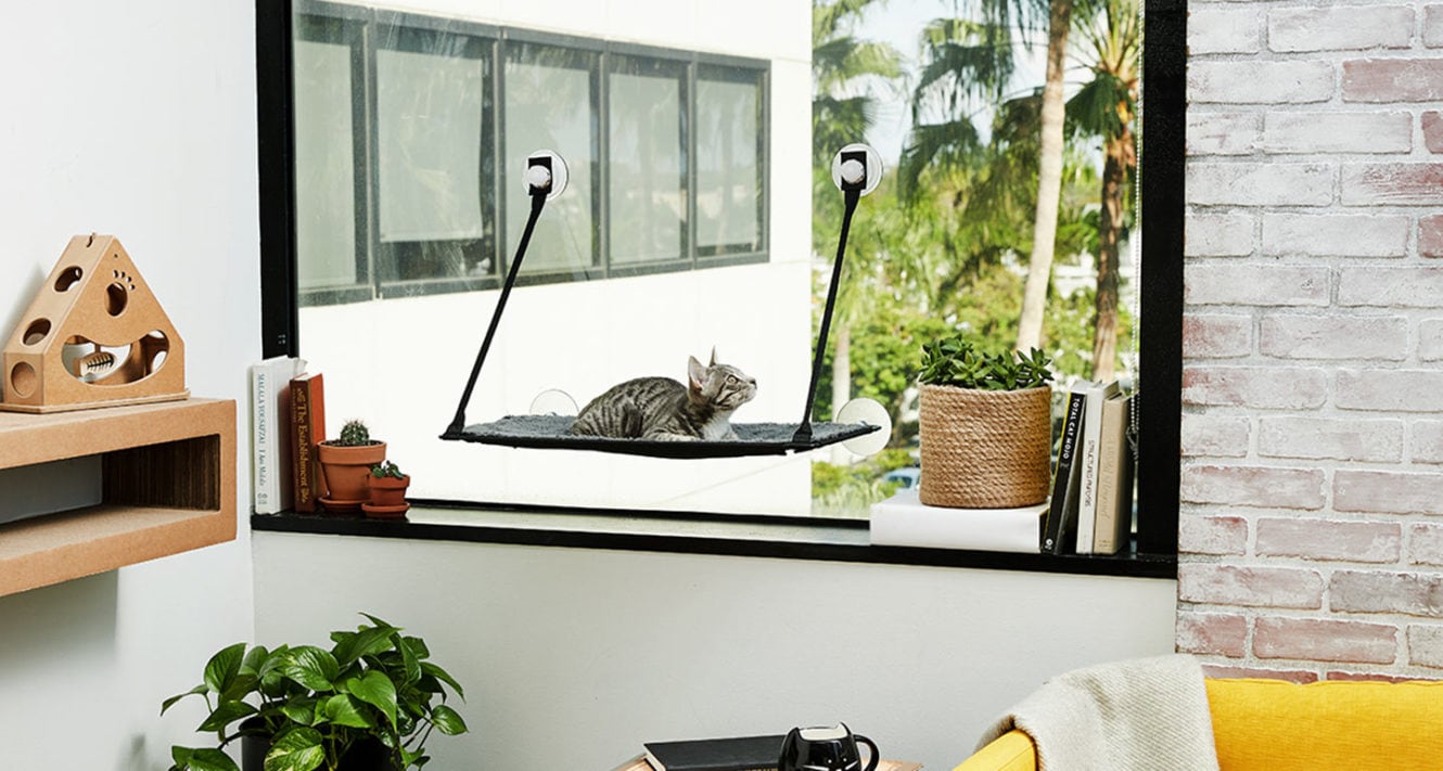 Cat Friendly Apartments How To Make The Most Of A Small Space Bechewy