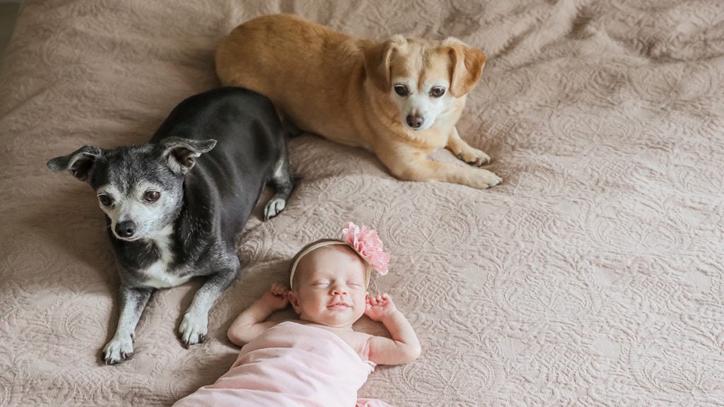 First Mother's Day: Baby V with Dogs